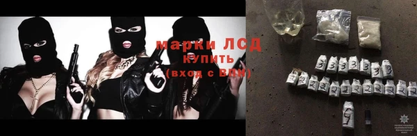 ешки Аркадак