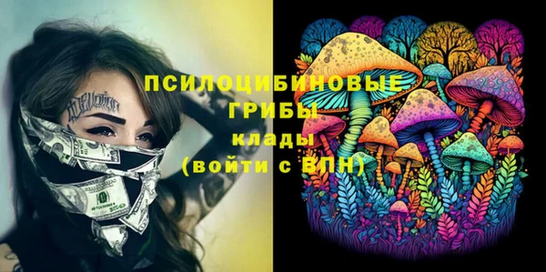 стафф Арсеньев