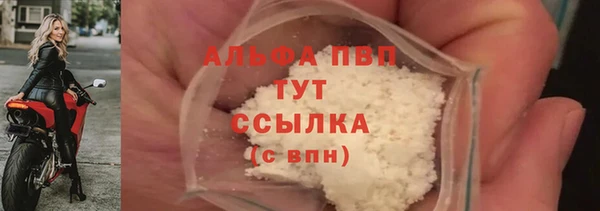 стафф Арсеньев