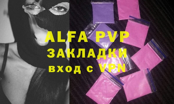 стафф Арсеньев