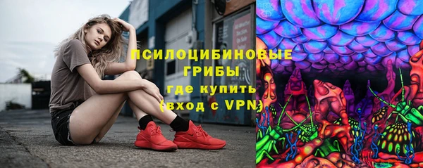 стафф Арсеньев