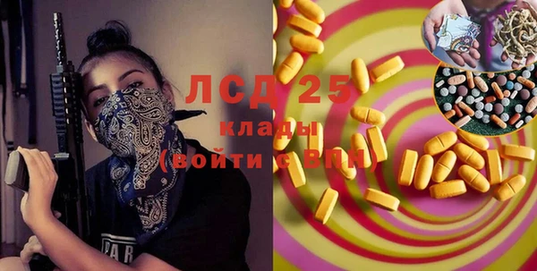 стафф Арсеньев