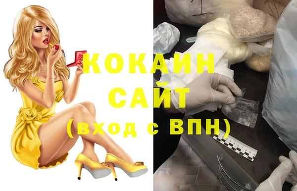 ешки Аркадак